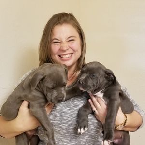 Meet your Posher, Sam